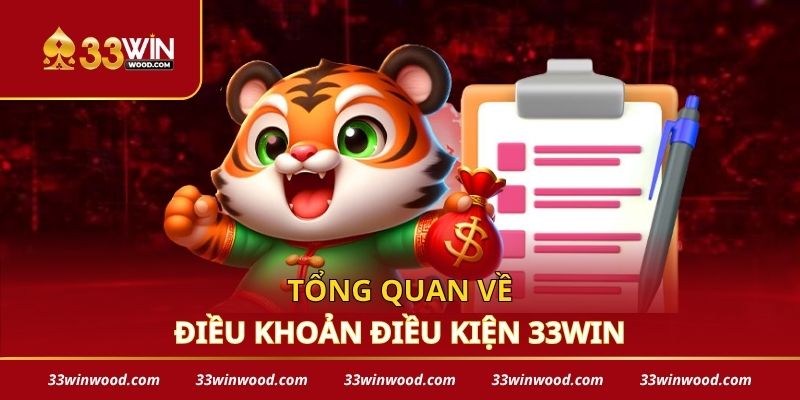 Tổng quan về điều khoản điều kiện 33win